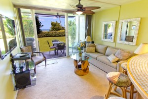 Living room and lanai