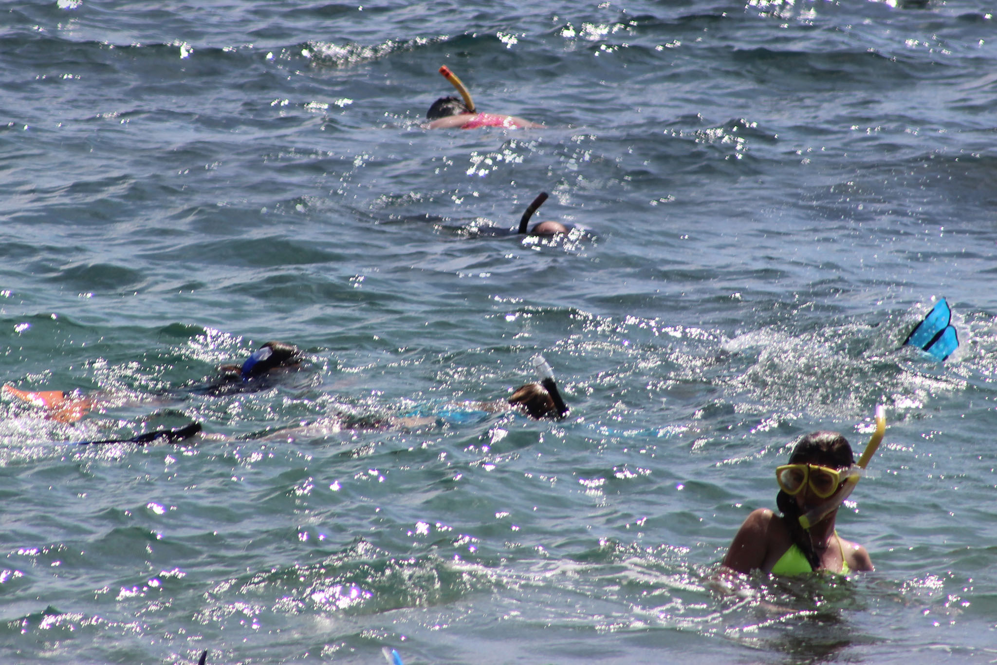 Snorkeling Basics & Map Maui Guidebook