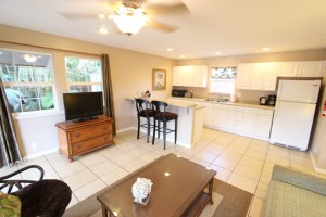 Kitchen from living room