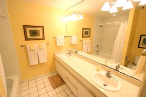 Master bathroom