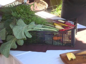 Basket of fresh picked veggies