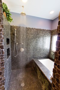 Master bath shower & tub