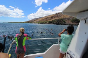 Friendly Charters snorkeling at Coral Gardens